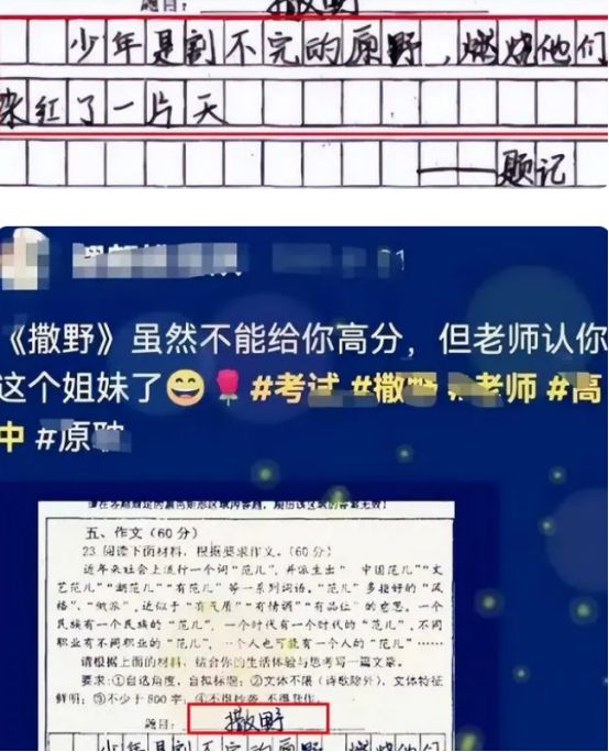 初中生写作文金句频出依然没有得到高分老师：多半出自网文