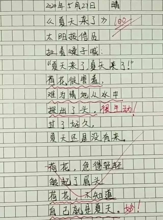 小学生满分作文《夏天来了》火了网友：优秀我拜你为师吧！